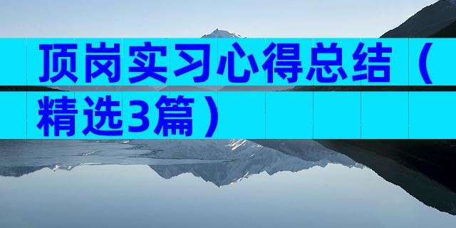 顶岗实习心得总结（精选3篇）