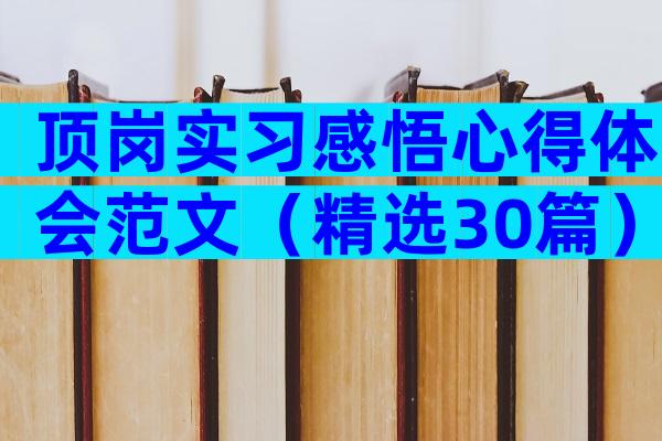 顶岗实习感悟心得体会范文（精选30篇）