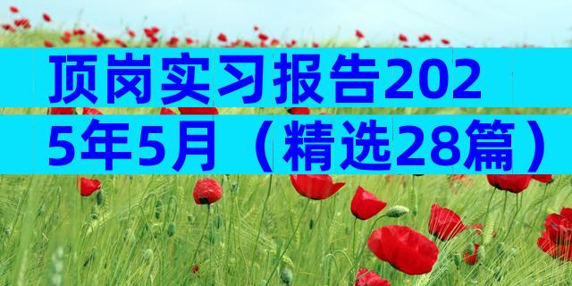 顶岗实习报告2025年5月（精选28篇）