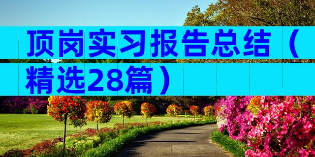 顶岗实习报告总结（精选28篇）