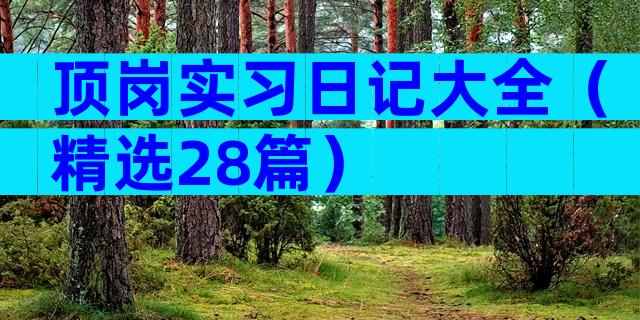 顶岗实习日记大全（精选28篇）