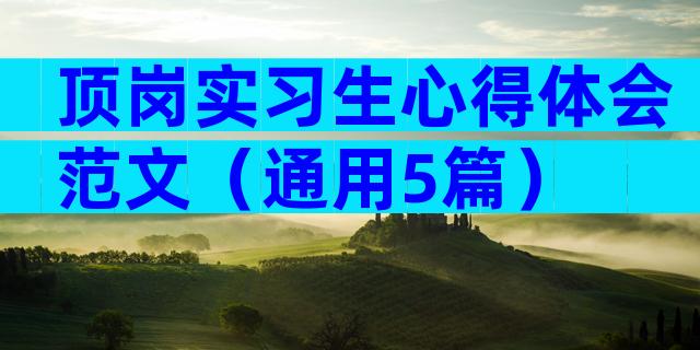 顶岗实习生心得体会范文（通用5篇）
