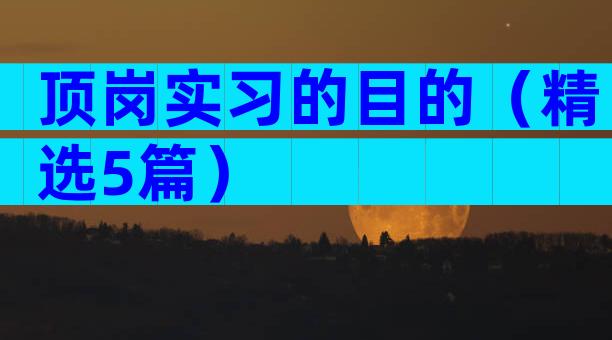 顶岗实习的目的（精选5篇）