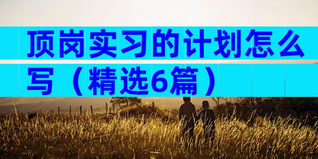 顶岗实习的计划怎么写（精选6篇）
