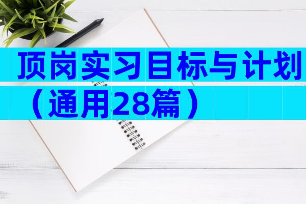 顶岗实习目标与计划（通用28篇）