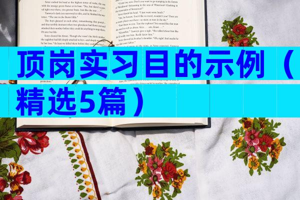 顶岗实习目的示例（精选5篇）