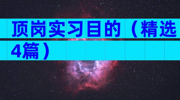 顶岗实习目的（精选4篇）