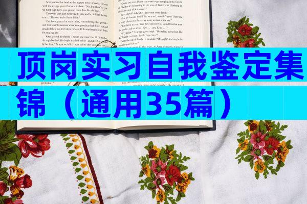顶岗实习自我鉴定集锦（通用35篇）