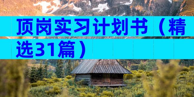 顶岗实习计划书（精选31篇）