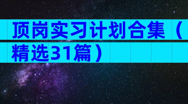 顶岗实习计划合集（精选31篇）