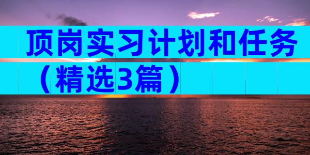 顶岗实习计划和任务（精选3篇）