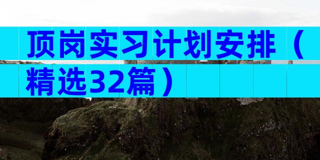 顶岗实习计划安排（精选32篇）