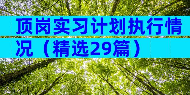 顶岗实习计划执行情况（精选29篇）