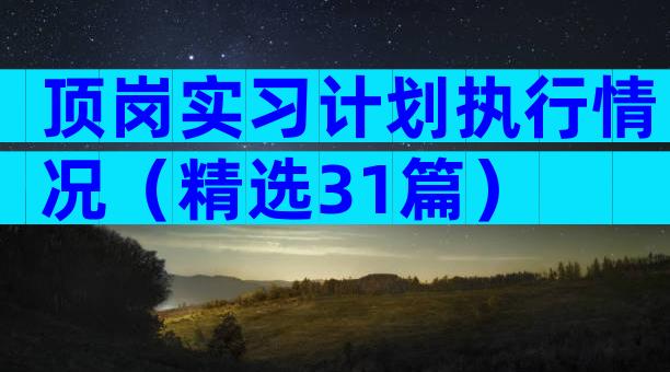 顶岗实习计划执行情况（精选31篇）
