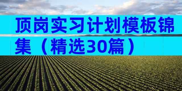 顶岗实习计划模板锦集（精选30篇）