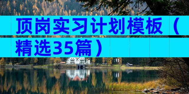 顶岗实习计划模板（精选35篇）