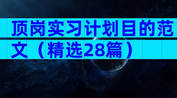 顶岗实习计划目的范文（精选28篇）
