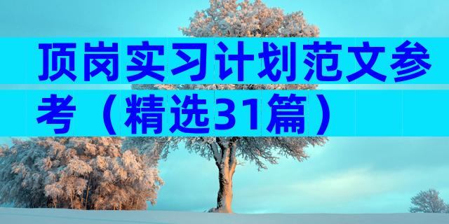 顶岗实习计划范文参考（精选31篇）