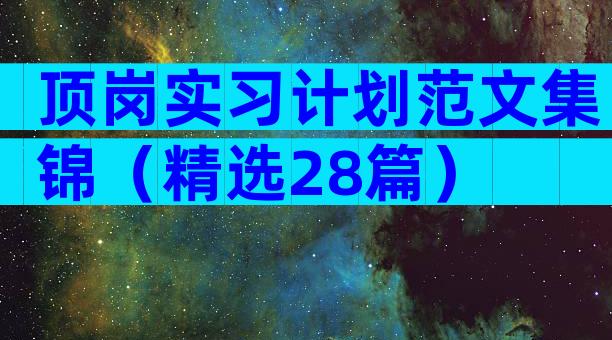 顶岗实习计划范文集锦（精选28篇）