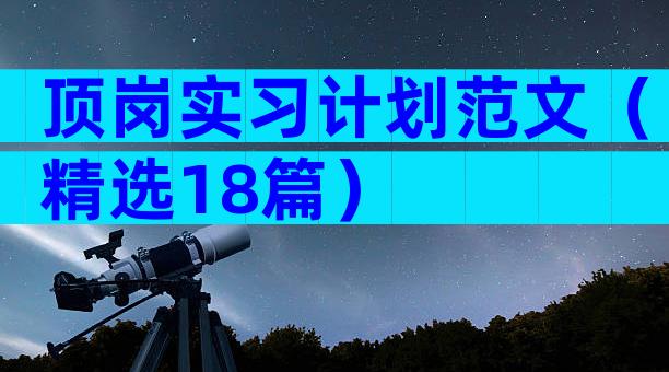 顶岗实习计划范文（精选18篇）