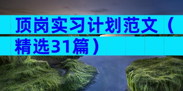 顶岗实习计划范文（精选31篇）