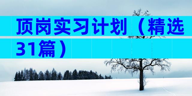 顶岗实习计划（精选31篇）