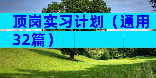 顶岗实习计划（通用32篇）