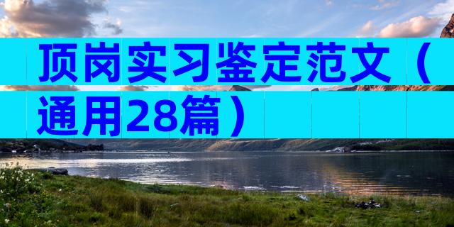 顶岗实习鉴定范文（通用28篇）