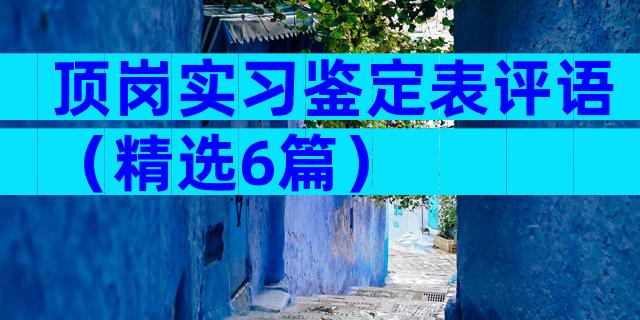 顶岗实习鉴定表评语（精选6篇）