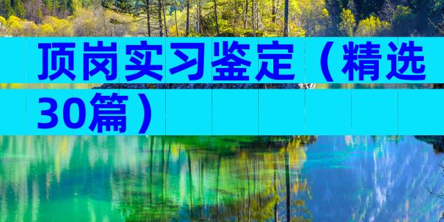 顶岗实习鉴定（精选30篇）