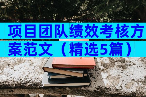 项目团队绩效考核方案范文（精选5篇）