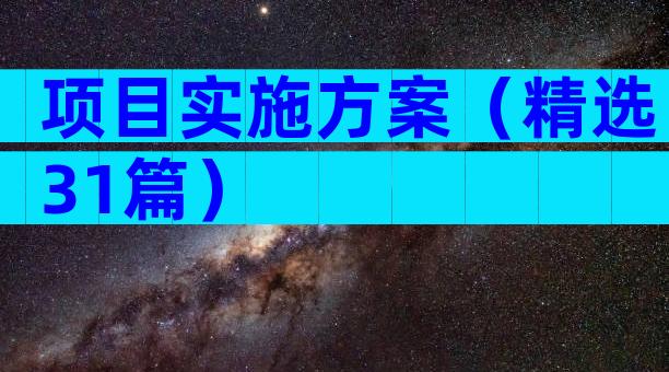 项目实施方案（精选31篇）