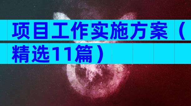 项目工作实施方案（精选11篇）