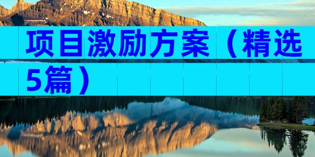 项目激励方案（精选5篇）