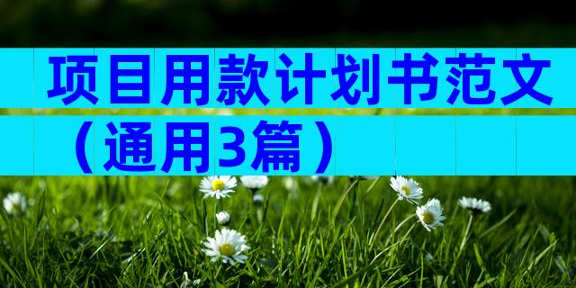 项目用款计划书范文（通用3篇）