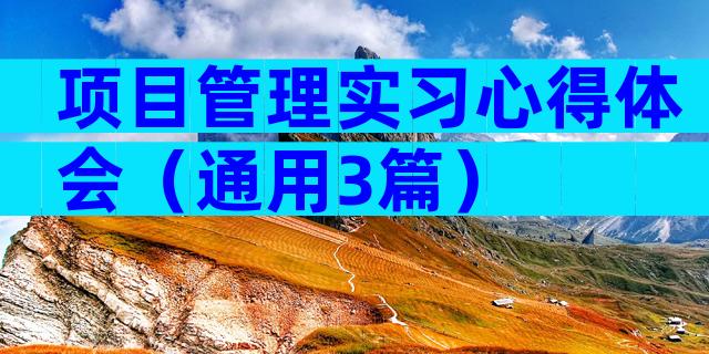 项目管理实习心得体会（通用3篇）