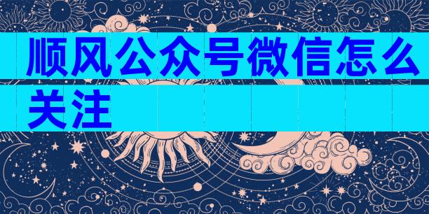 顺风公众号微信怎么关注