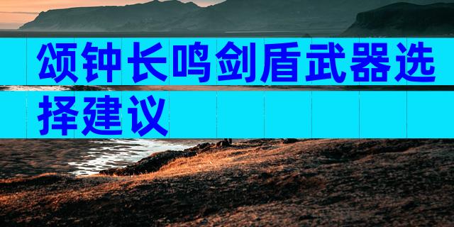 颂钟长鸣剑盾武器选择建议