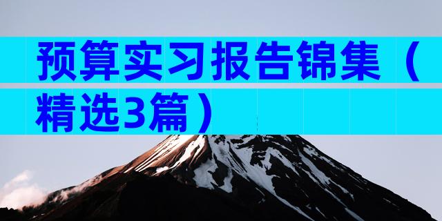 预算实习报告锦集（精选3篇）