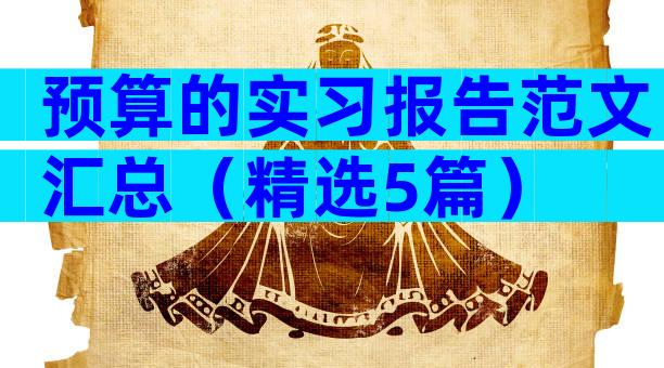 预算的实习报告范文汇总（精选5篇）