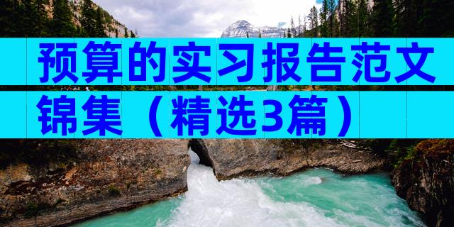 预算的实习报告范文锦集（精选3篇）