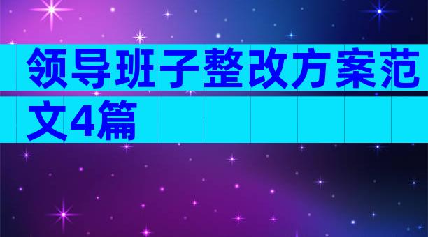 领导班子整改方案范文4篇