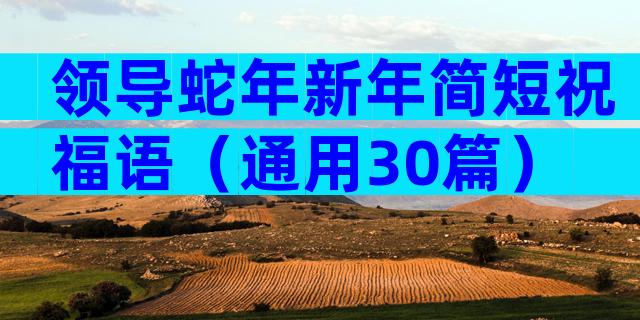 领导蛇年新年简短祝福语（通用30篇）
