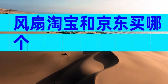 风扇淘宝和京东买哪个