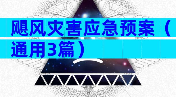 飓风灾害应急预案（通用3篇）