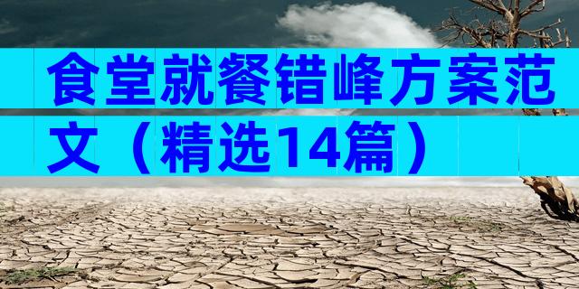食堂就餐错峰方案范文（精选14篇）
