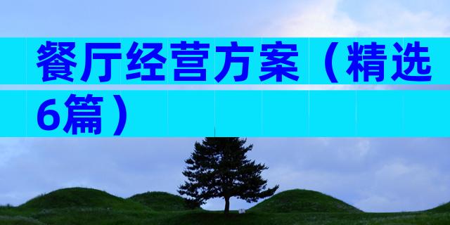 餐厅经营方案（精选6篇）