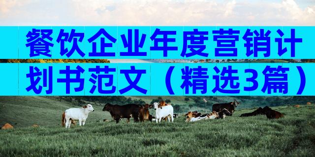 餐饮企业年度营销计划书范文（精选3篇）