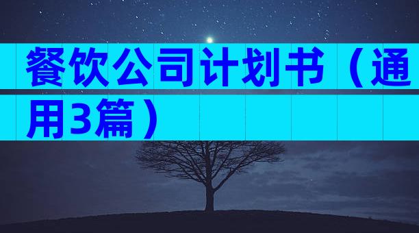 餐饮公司计划书（通用3篇）