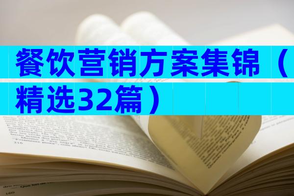 餐饮营销方案集锦（精选32篇）